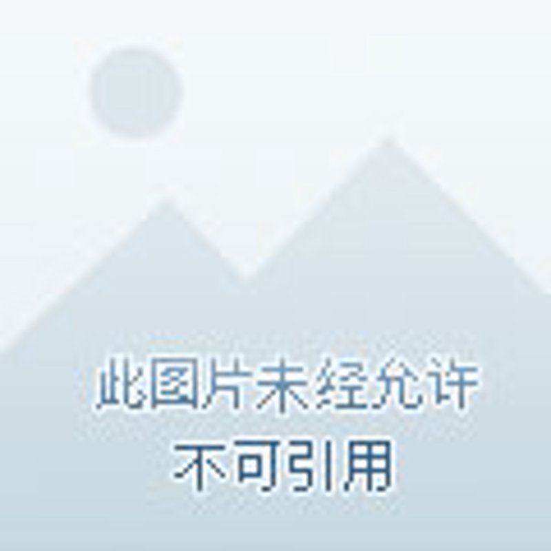 坊子区道路施工选购指南：如何选择合适的材料与设备？